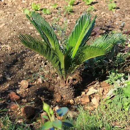 By The Sea Okrug Gornji, Ciovo - 8440 Appartamento