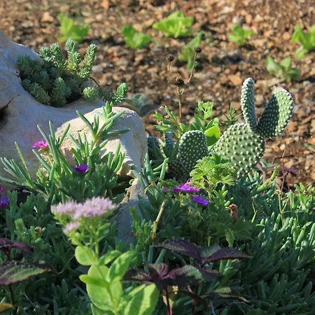 By The Sea Okrug Gornji, Ciovo - 8440 * Trogir