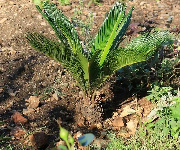 By The Sea Okrug Gornji, Ciovo - 8440 Appartement